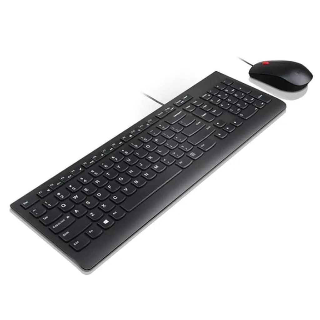 Lenovo Essential Wired Keyboard and Mouse Combo, USB, Black