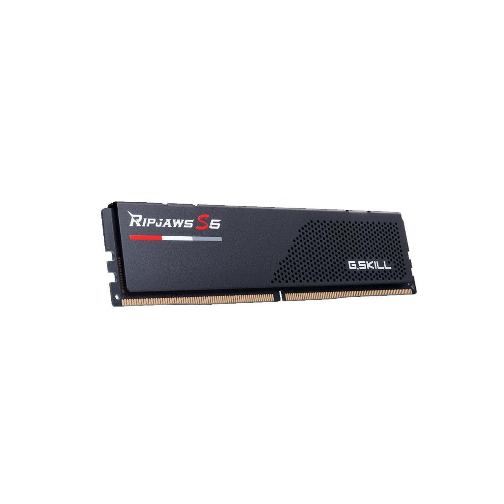 G.SKILL Ripjaws S5 Series 16GB (1x16GB) DDR5 5600MHz CL40 Desktop Memory for Intel XMP