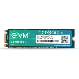EVM 1TB M.2 2280 SATA III Internal Solid State Drive (SSD)